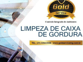 Dedetizadora E Desentupidora Gold Service