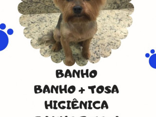 Banho E Tosa